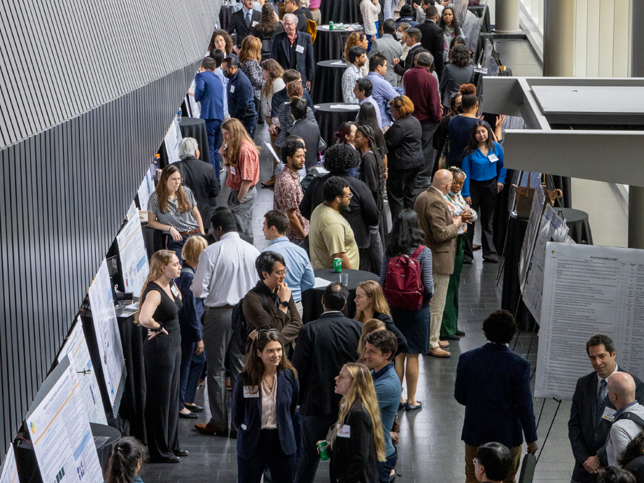 Photo of Poster Show taken from above