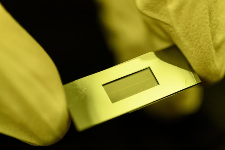 cell quality control image