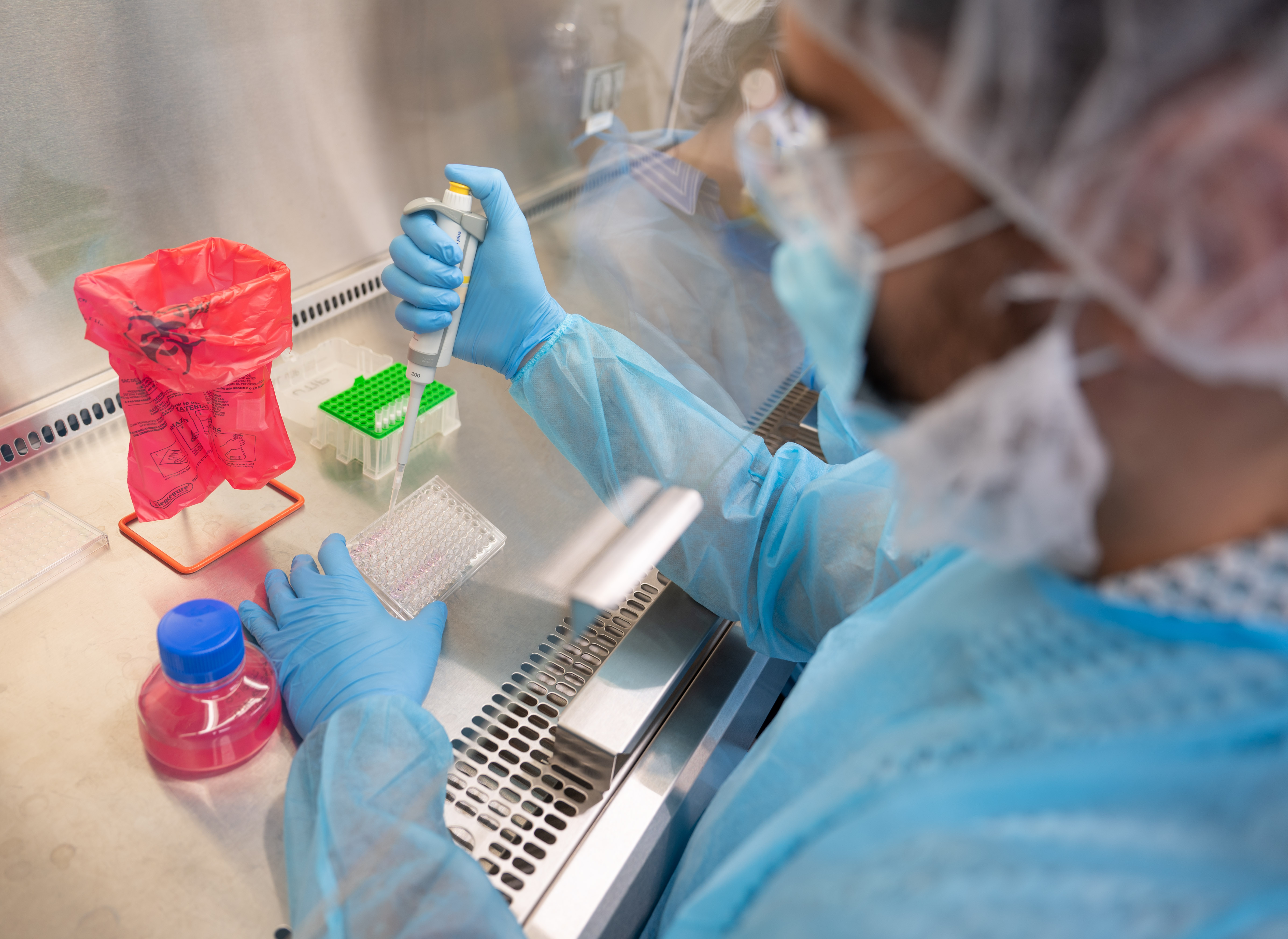 Researcher wearing protective lab gear, gloves, and a face mask uses a pipette to transfer liquid into a multi-well plate inside a biosafety cabinet. Nearby are a rack of tubes, a red biohazard bag, and a bottle of pink culture media.