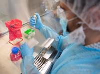 Researcher wearing protective lab gear, gloves, and a face mask uses a pipette to transfer liquid into a multi-well plate inside a biosafety cabinet. Nearby are a rack of tubes, a red biohazard bag, and a bottle of pink culture media.